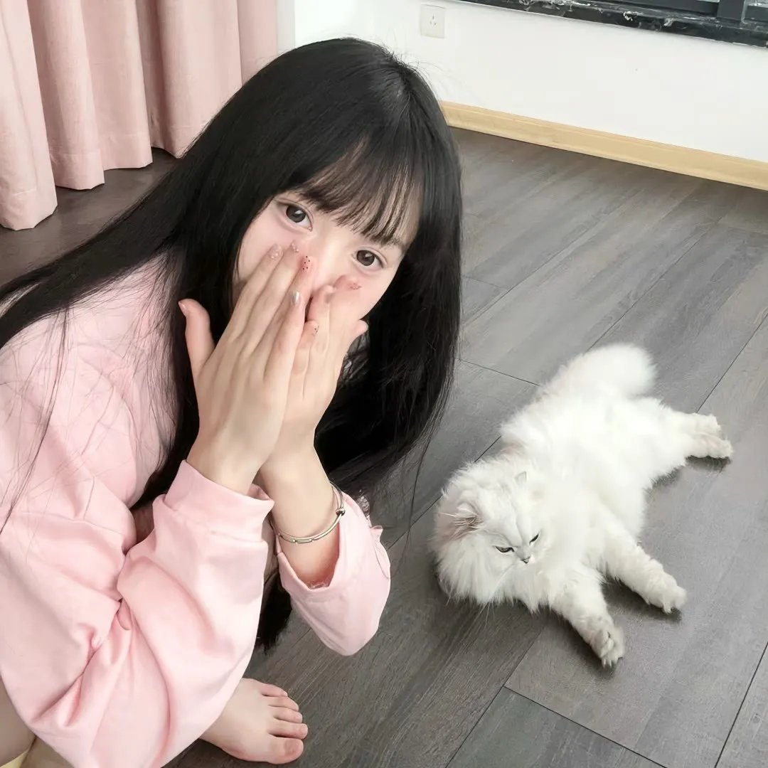 木更津猫眼 日本系列