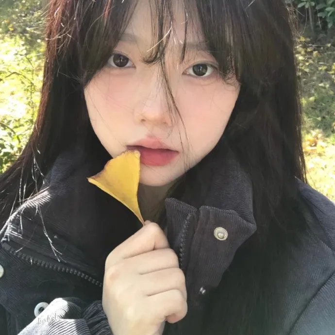 山鹰之歌